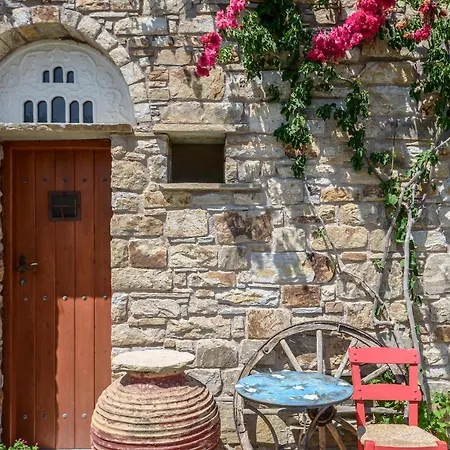 公寓式酒店 Naxos Filoxenia