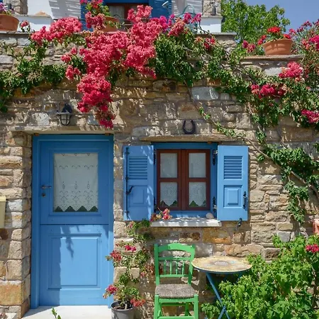 公寓式酒店 Naxos Filoxenia 加里尼