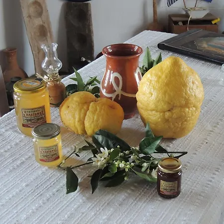公寓式酒店 Naxos Filoxenia 加里尼