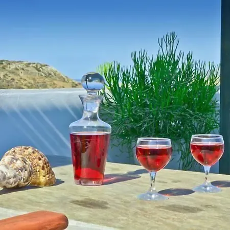 公寓式酒店 Naxos Filoxenia 3*