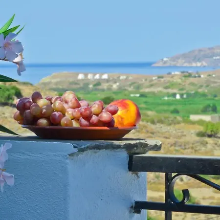 Apartahotel Naxos Filoxenia Galini (Naxos)